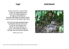 Vogel-Hey.pdf